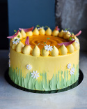 SPRING CAKE